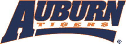 Auburn Tigers 1998-2003 Wordmark Logo t shirts iron on transfers v2
